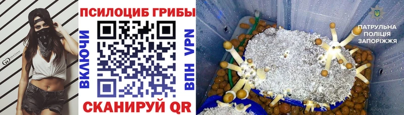 блэк спрут вход  Спасск-Рязанский  darknet состав  Галлюциногенные грибы прущие грибы 